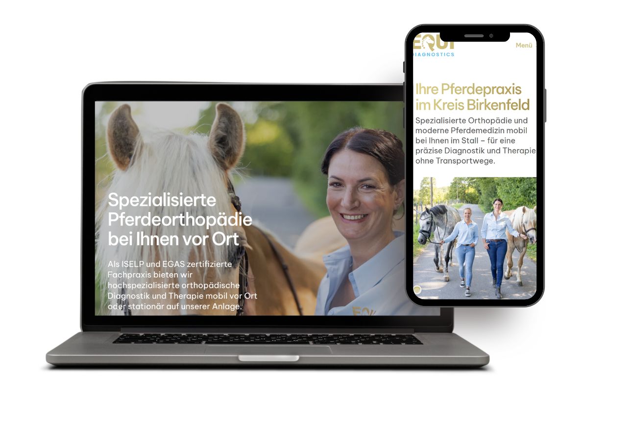 Marketingagentur Saarland Andreas Heu MEDIA - Webdesign Onlineshop erstellen