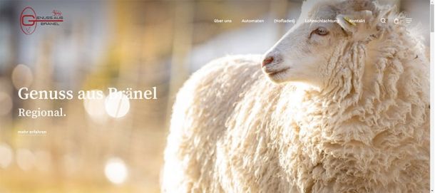 Homepage erstellen lassen - Webdesign für Eisdielen - Andreas Heu