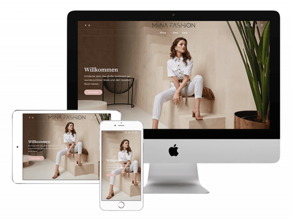 Webdesign im Kreis Birkenfeld - Andreas Heu - Onlineshop erstellen lassen